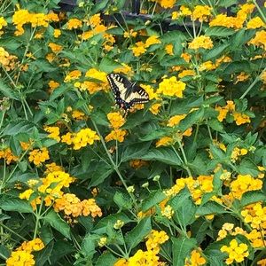 Will be adding lots of new items in a few days